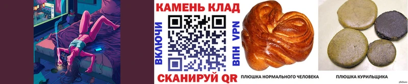 закладка  Юхнов  блэк спрут зеркало  ГАШ Cannabis 