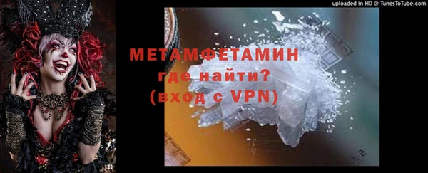 прущие грибы Михайлов