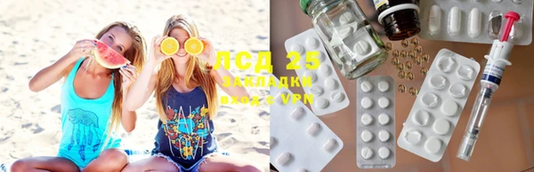 прущие грибы Михайлов