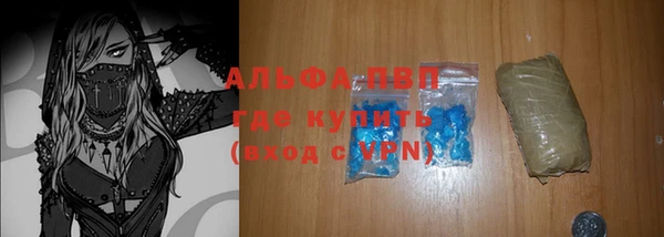прущие грибы Михайлов