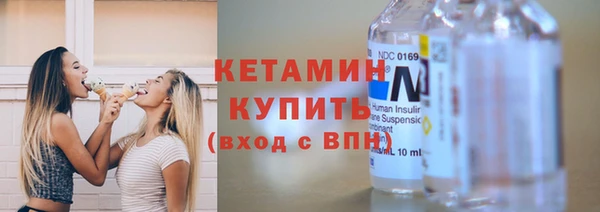 прущие грибы Михайлов