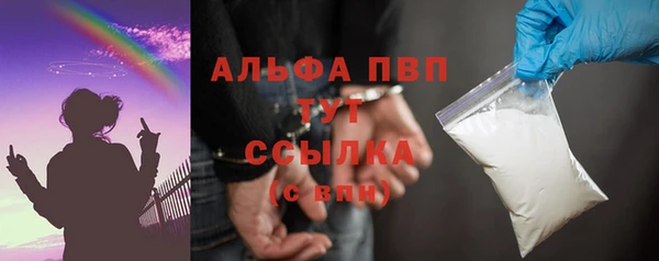 прущие грибы Михайлов