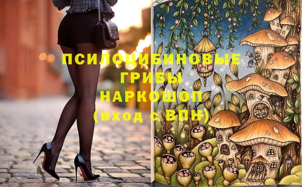 прущие грибы Михайлов