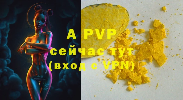 прущие грибы Михайлов