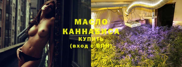 прущие грибы Михайлов