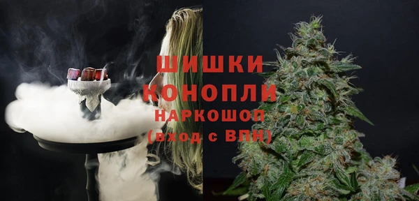 прущие грибы Михайлов