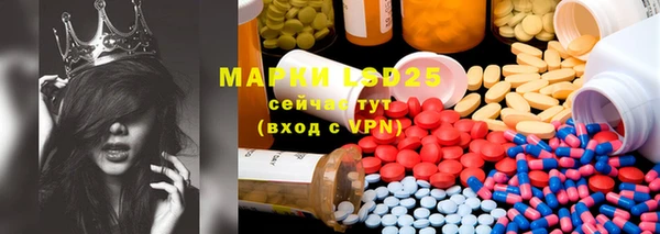 прущие грибы Михайлов